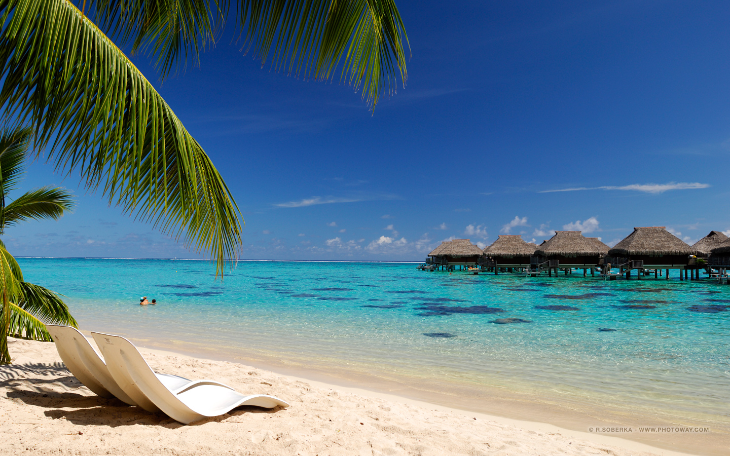 Fond D cran De Vacances Fonds D cran Vacances Wallpaper Polyn sie