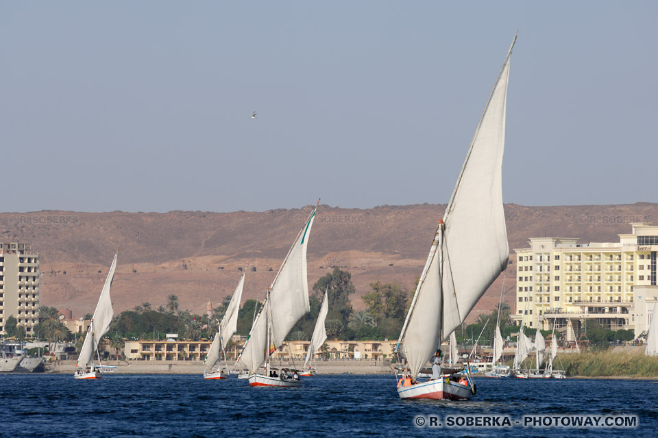 Feluccas on the Nile Feluccas on the Nile