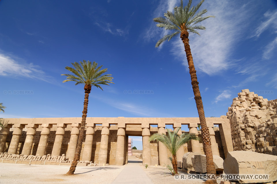 Amun temple columns Amun temple columns