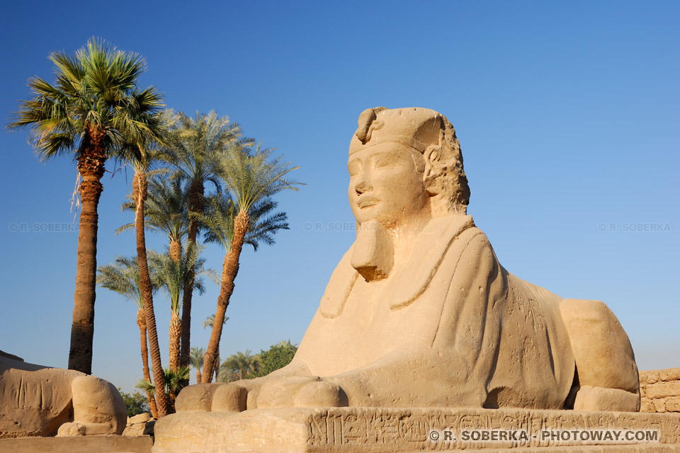Pharaoh Nectanebo I