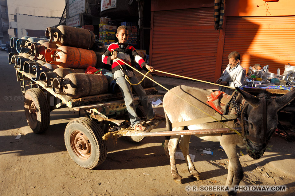 cart carrying butane bottles driven by a young boy cart carrying butane bottles driven by a young boy