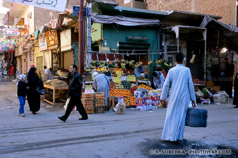 fruit shops in Luxor fruit shops in Luxor