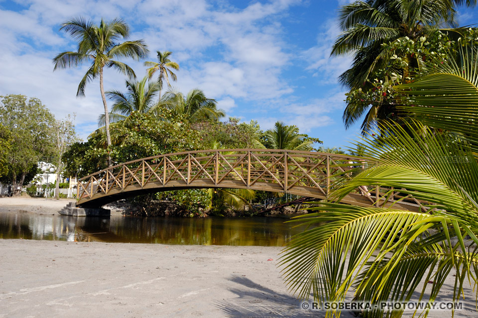 Anse à l'Ane camping photo in Martinique