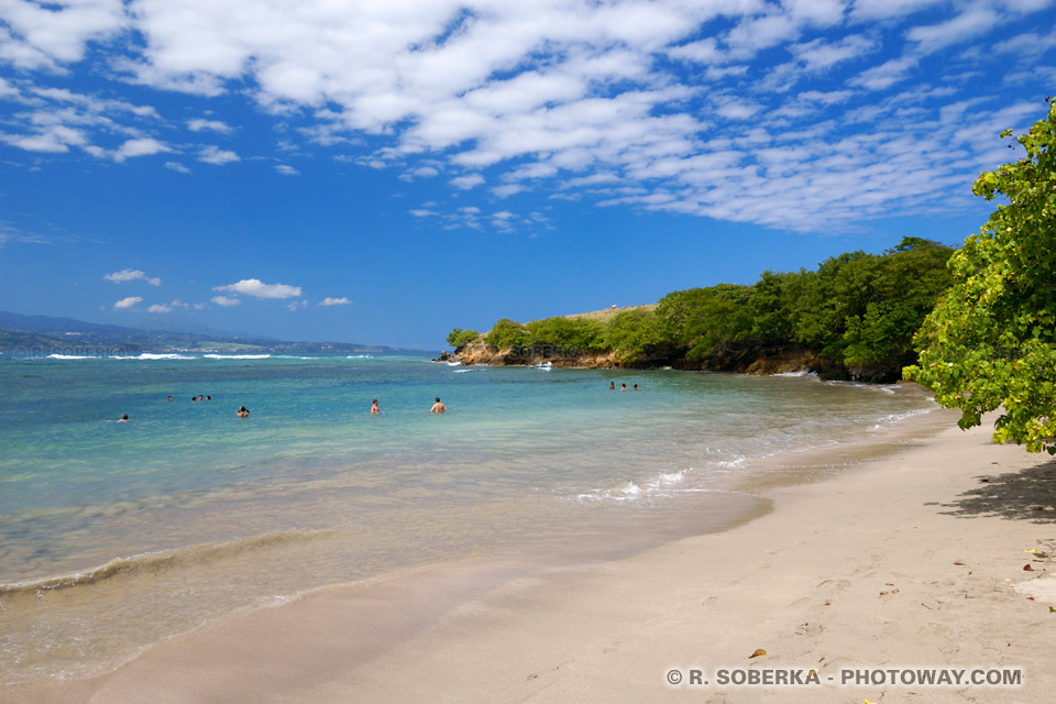 Caravelle Peninsula photo Anse l'Etang