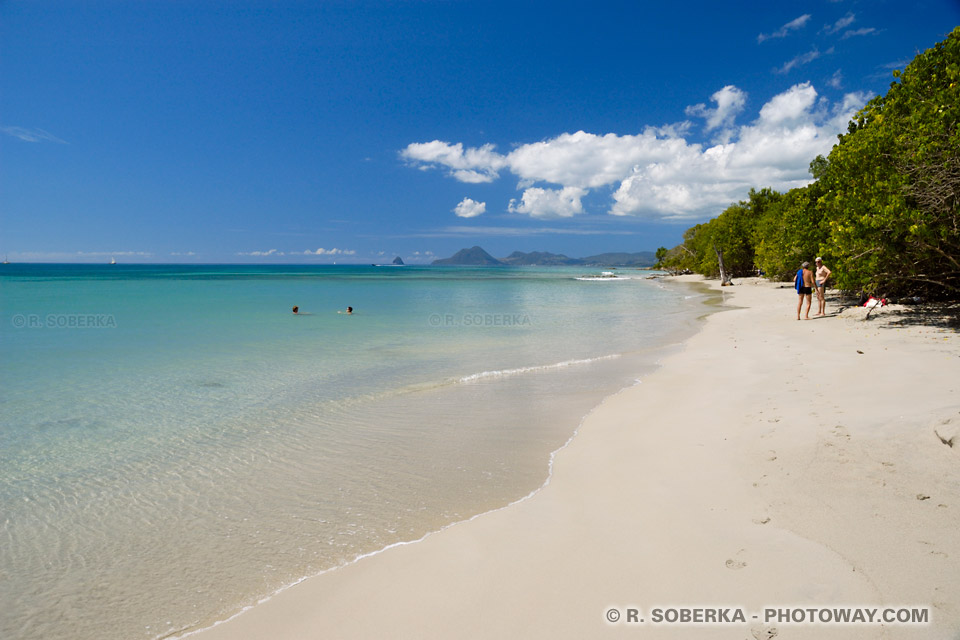 Anse Meunier Martinique