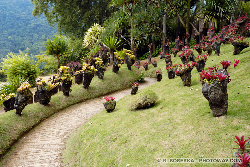 Balata Garden vist guide in Martinique