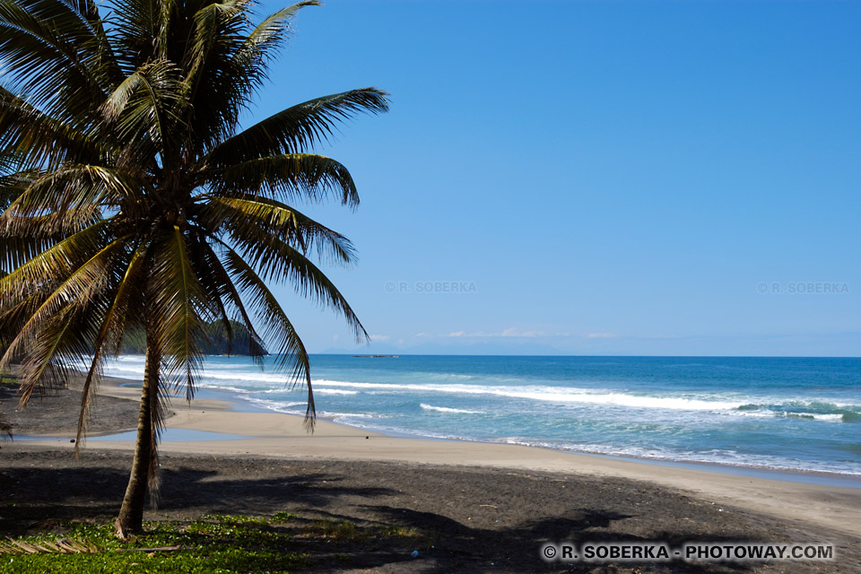 black sand beach in Martinique