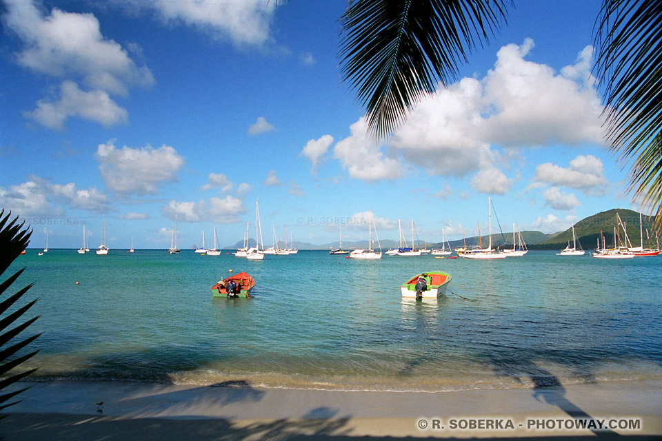 Sainte-Anne Bay Martinique