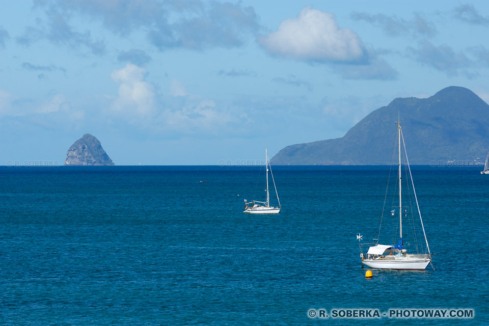 Diamond Photos South Caribbean region in Martinique