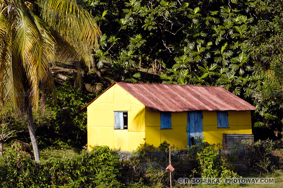 Creole house