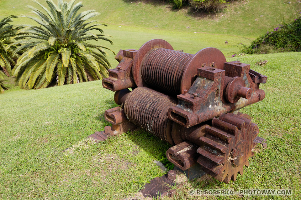 sugar cane crusher