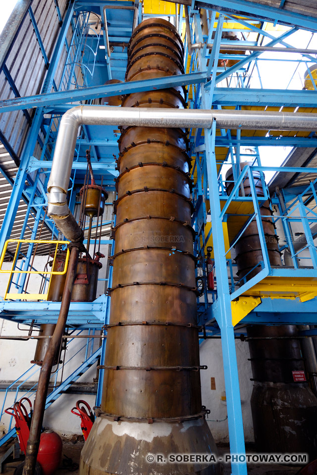 rum distillation column