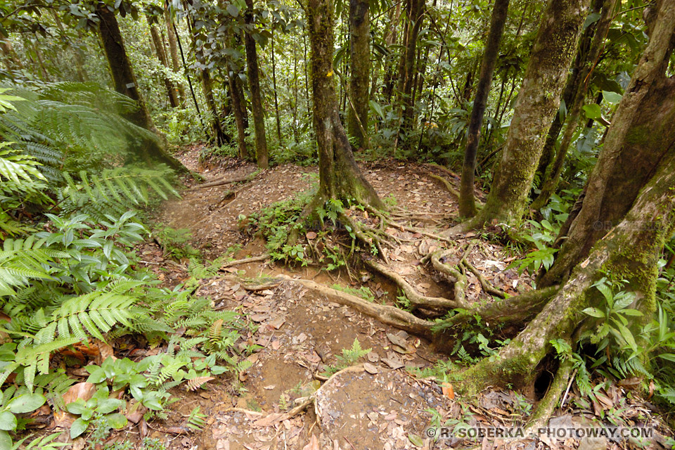 dizzying photos of a hiking descent