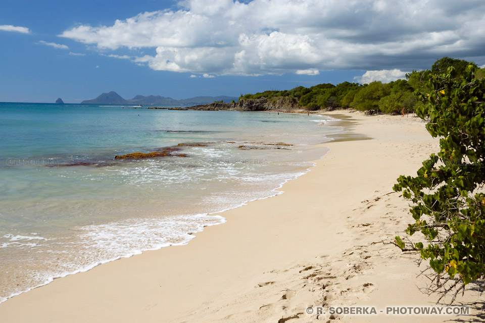 Gay Spot Martinique