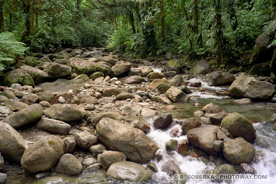 Falaise Gorges Martinique