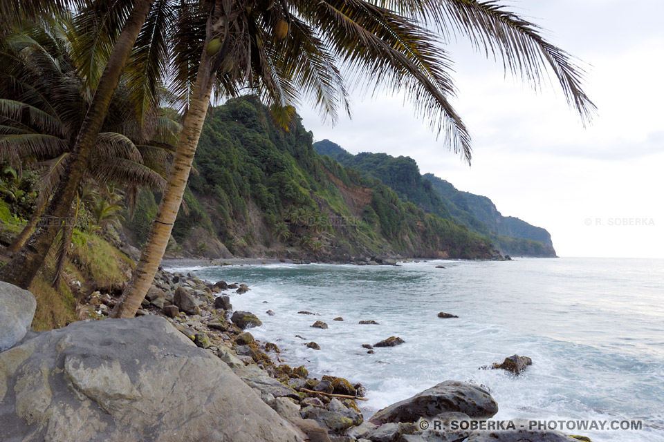 Grand Rivière images in Martinique