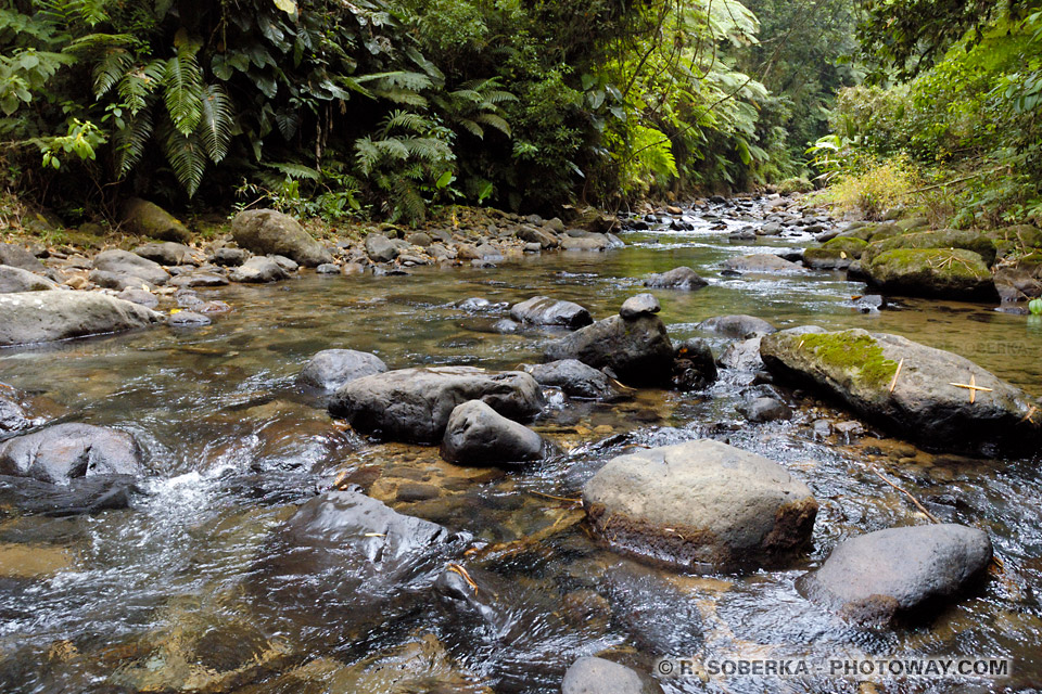 Jesuit Trace hike in Martinique