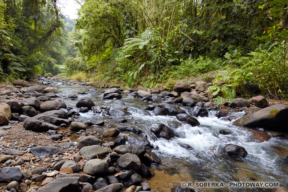 Lorrain river source