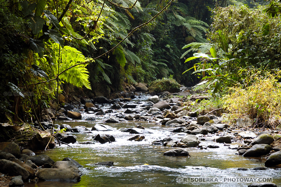 Lorrain River photos from the Trace path in Martinique