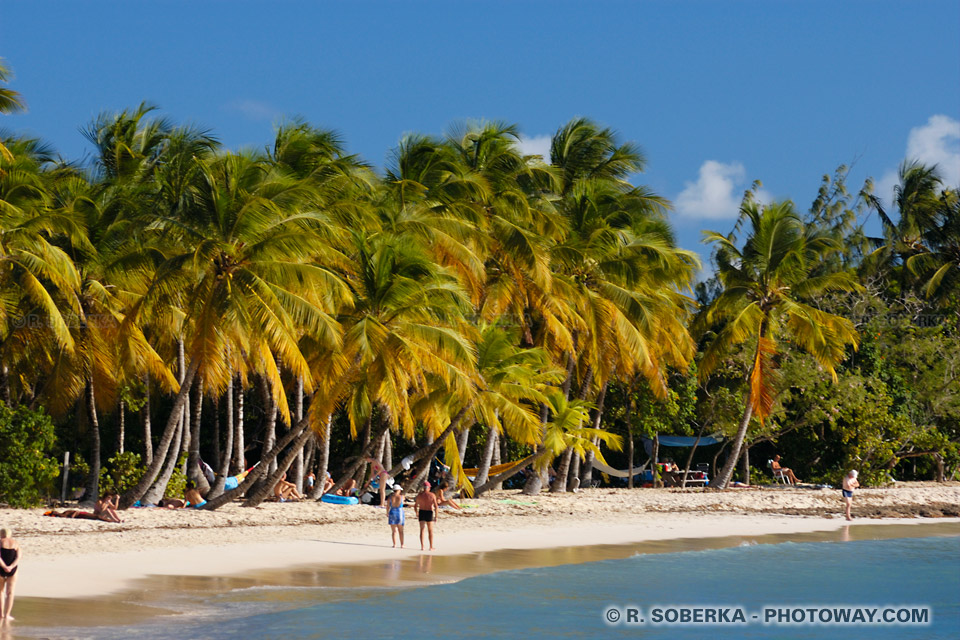 Weather on Martinique Beach