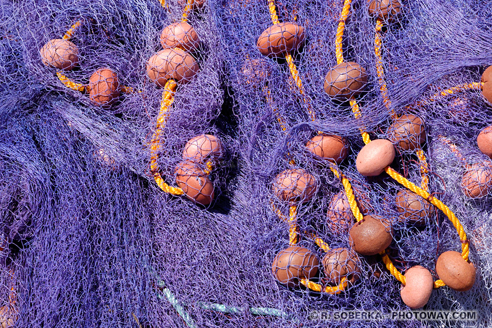 fishing net