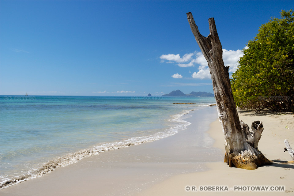 Rising Sea Levels