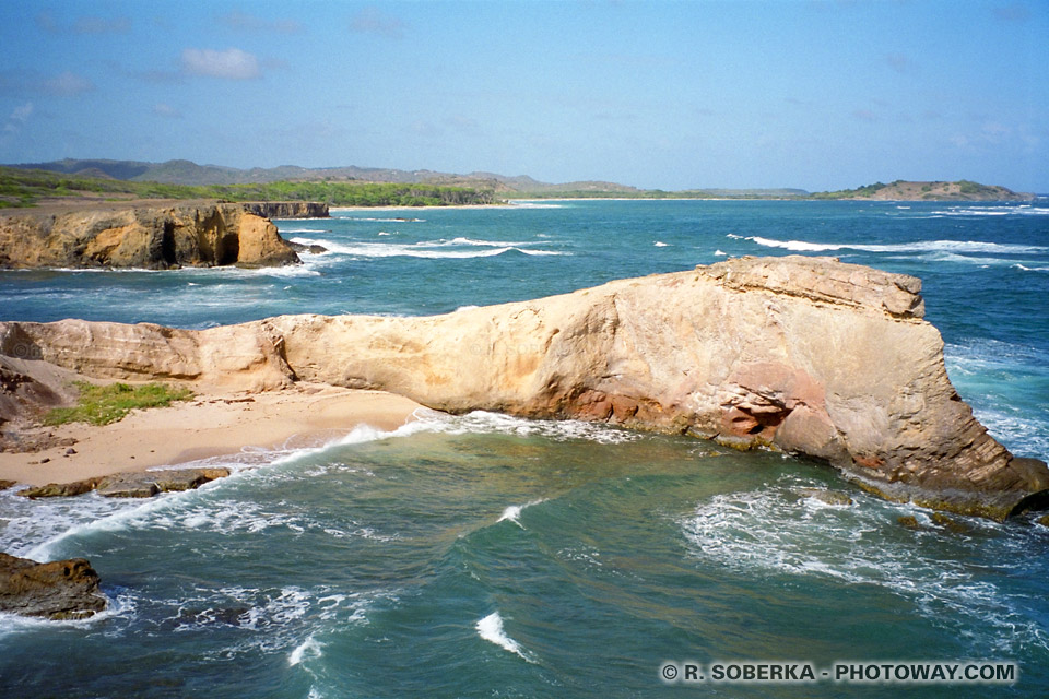 Savane de Pétrification photo of Pointe d'Enfer Martinique