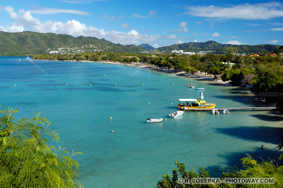 Pointe Marin photo in Sainte-Anne Martinique