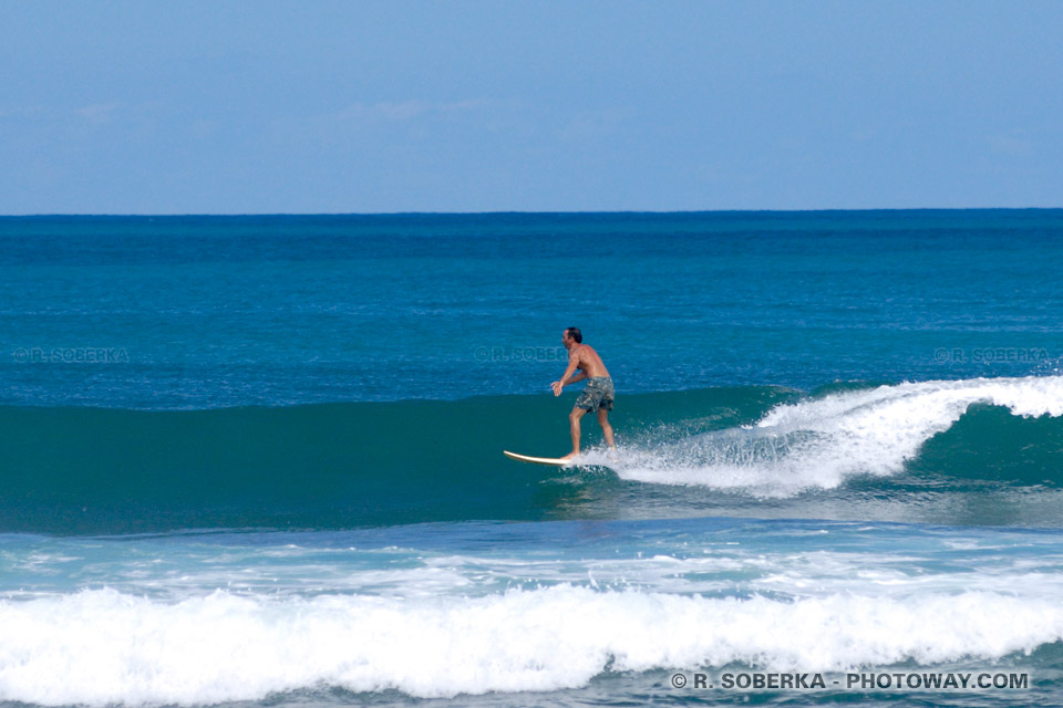 Surfing Photos Images of Freedom