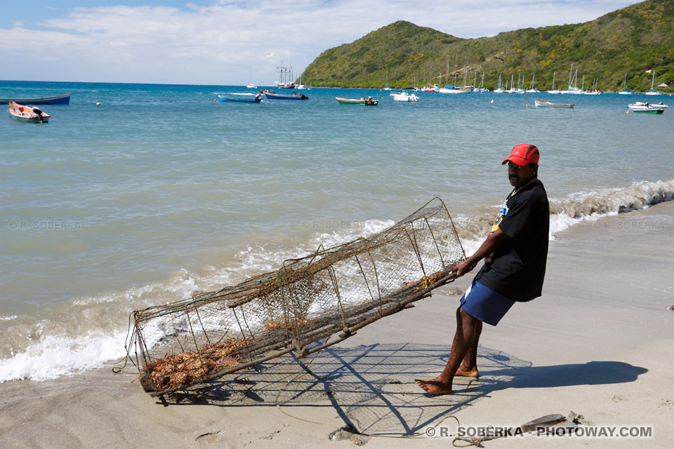 Lobsters and crustaceans - fisherman's trap