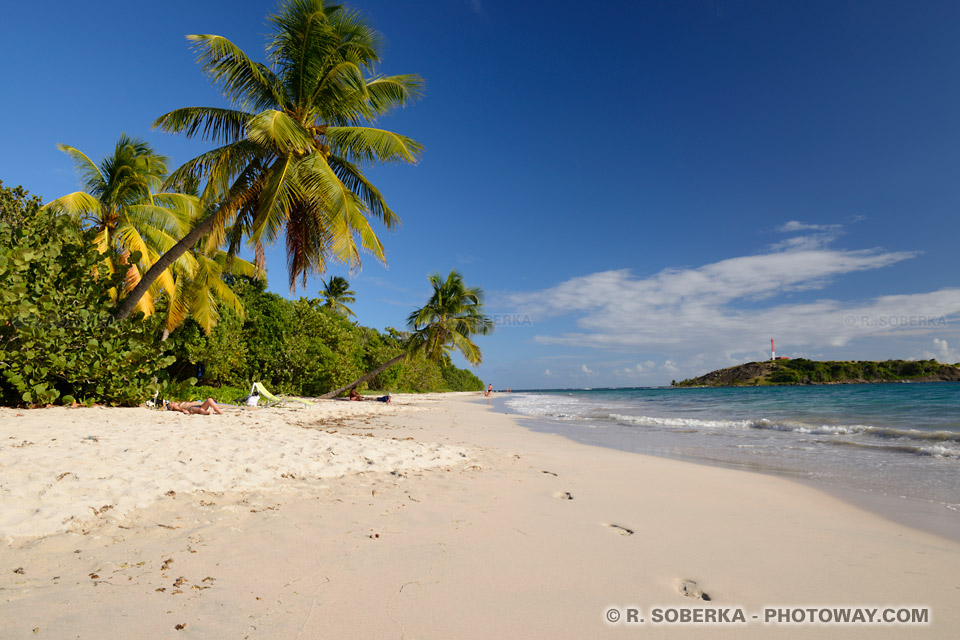 Strolls in Martinique