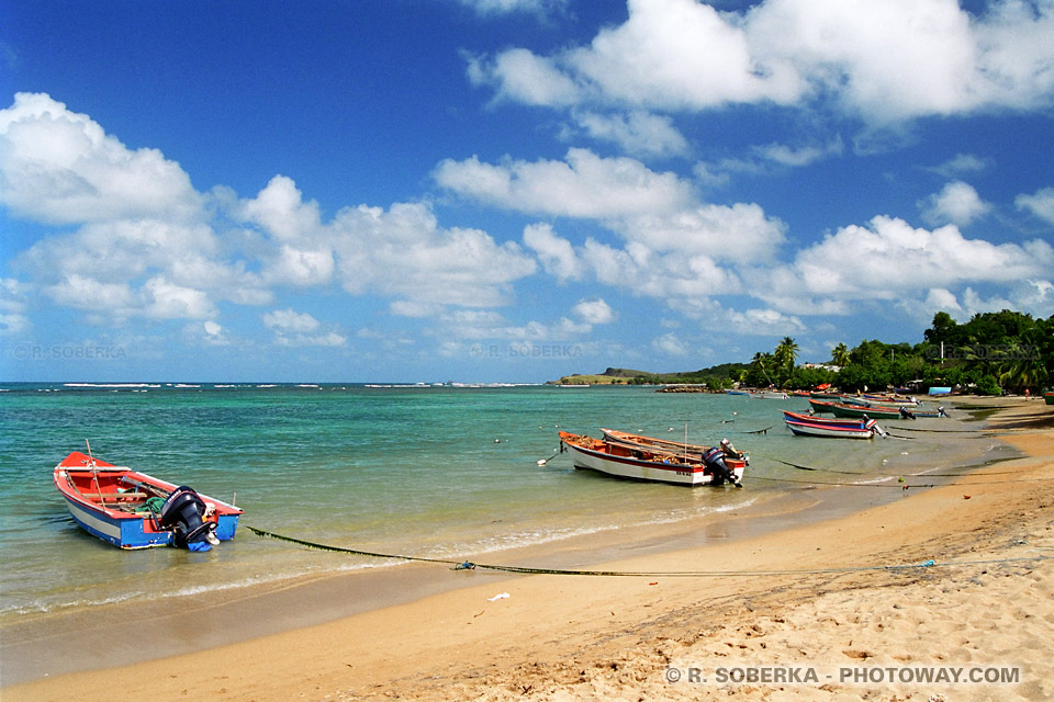 Tartane beach