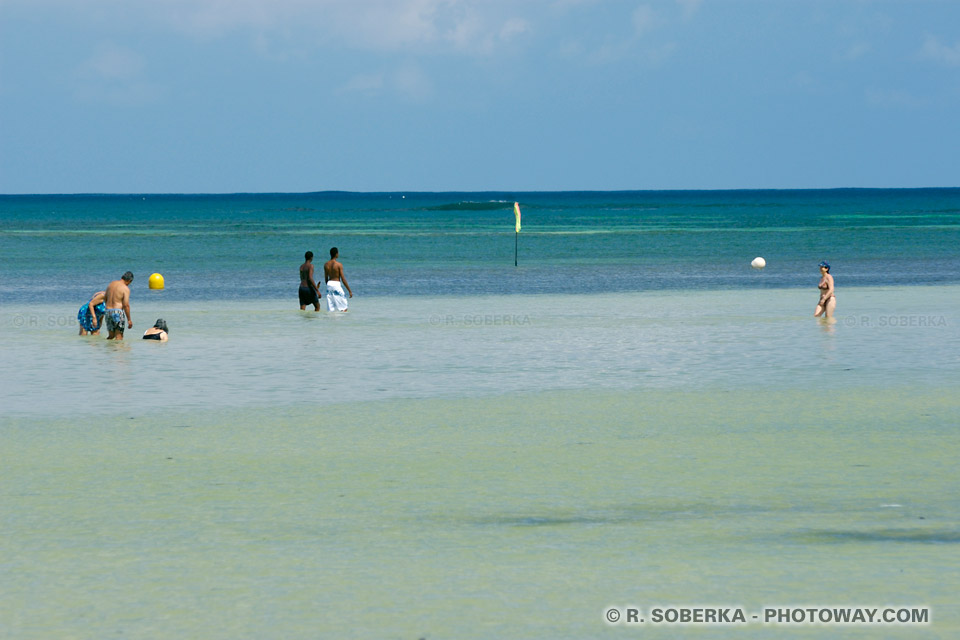 Photos of White Bottoms in Martinique