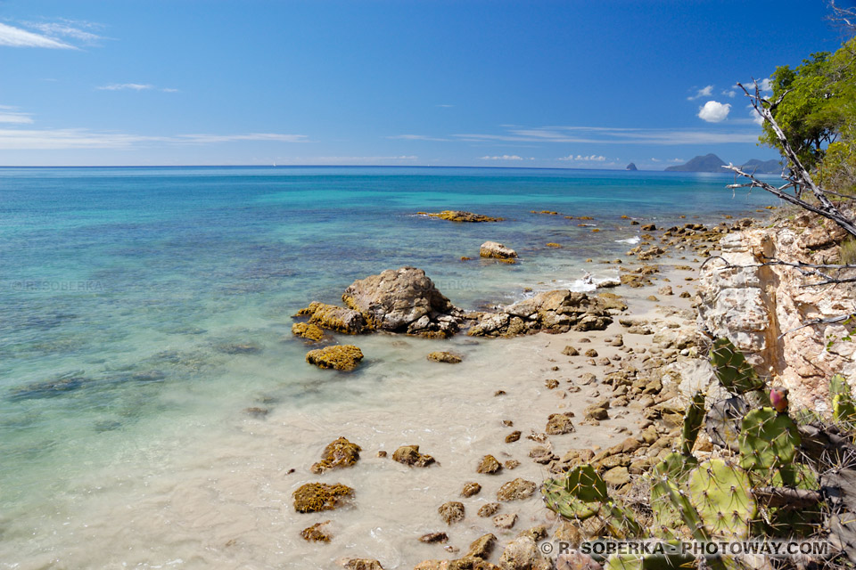 Wild coastline in Martinique