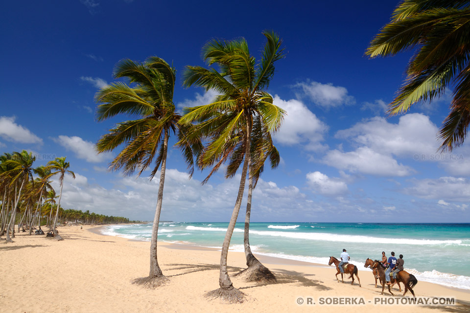 Horses on Beach