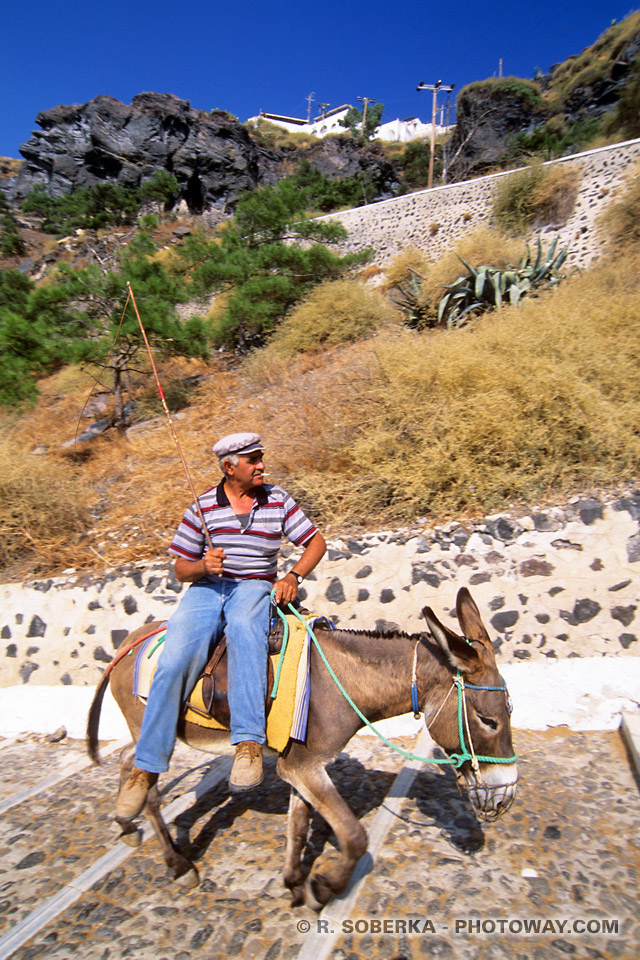 Santorini Island Tourism donkey ride