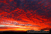 Sunset Fiery Red Sky Wallpaper