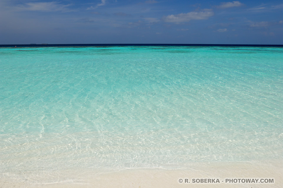 Maldives beach wallpaper in the Indian Ocean