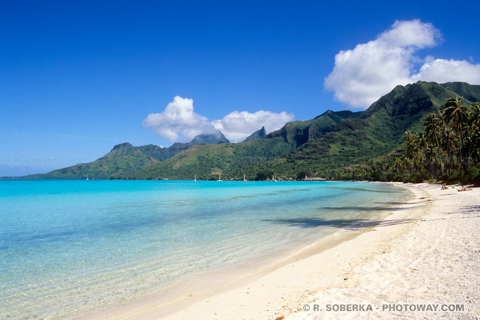 Moorea beach Wallpaper in Tahiti