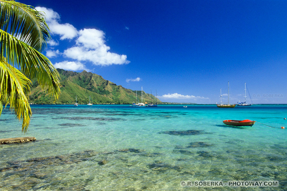 Lagoon wallpaper of Moorea lagoons in Polynesia