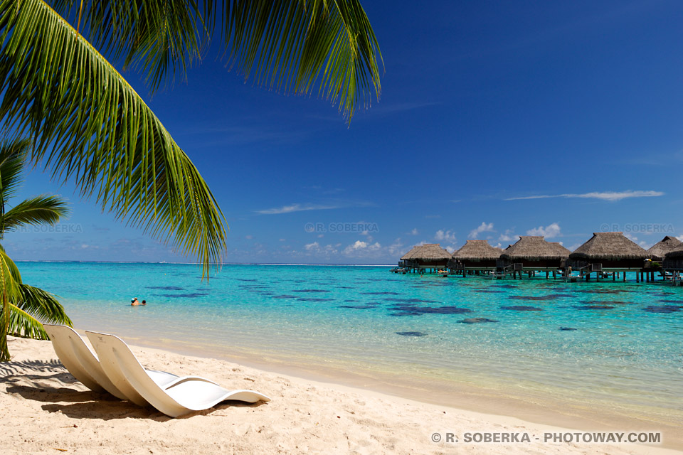 Tahiti Beach Wallpaper Moorea Polynesia