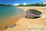 Fond d'écran Australie plage Magnetic Island Rocks