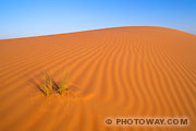 Fond d'écran dunes du désert