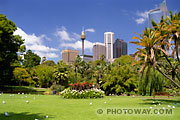 Fond d'écran jardins Botaniques à Sydney