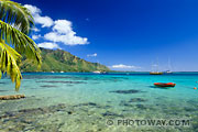 Fond d'écran de lagon à Moorea