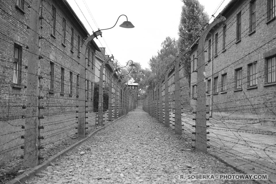 Photos du camp d'Auschwitz