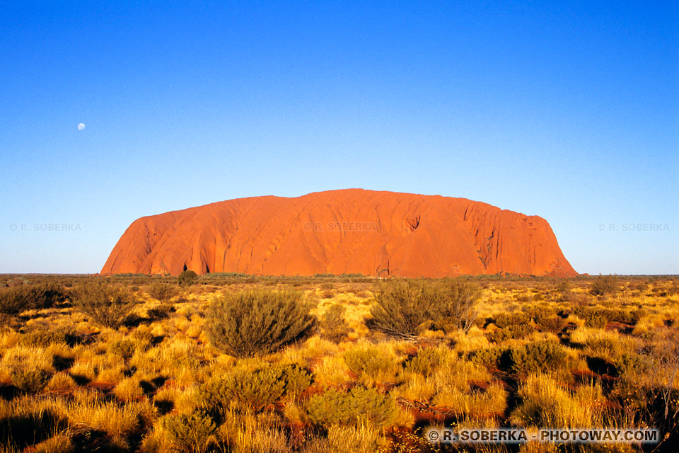 Photos d'Ayers Rock - Uluru