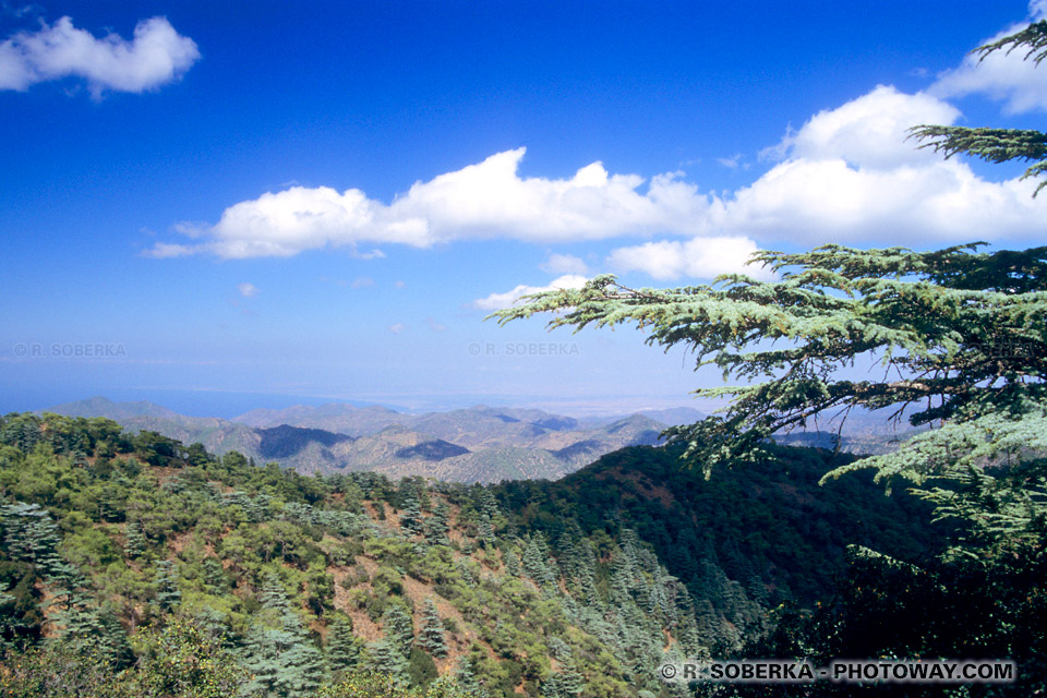 Photos de Chypre - Montagnes du Troodhos