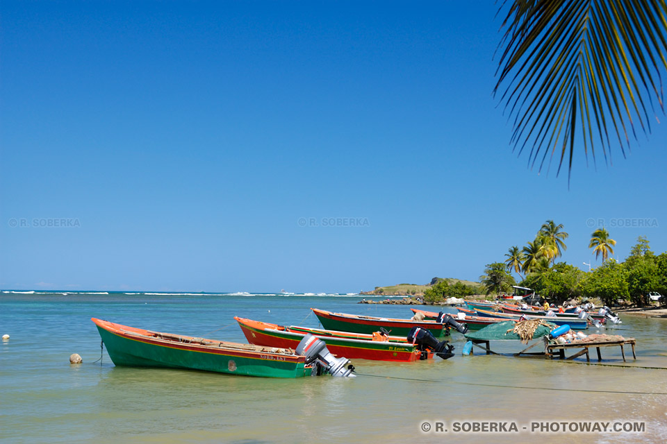 Voyage à Tartane en Martinique