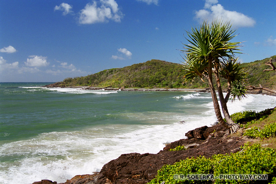 Fond d'écran Australie wallpaper Noosa